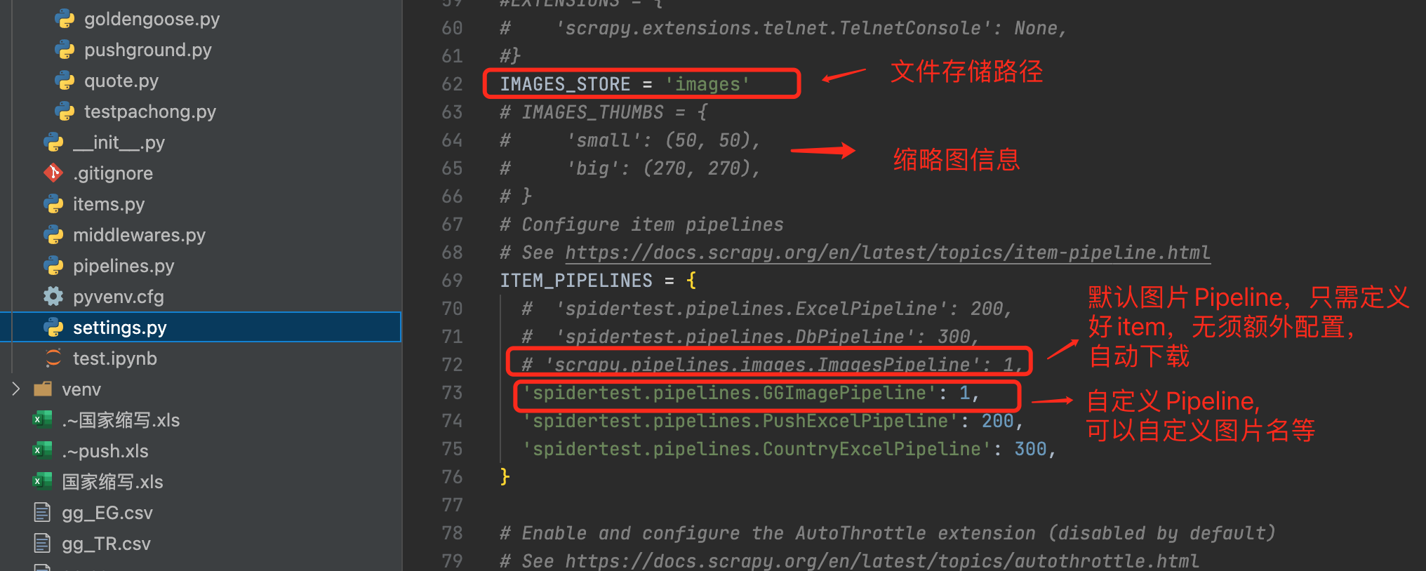 image-20240318162011792